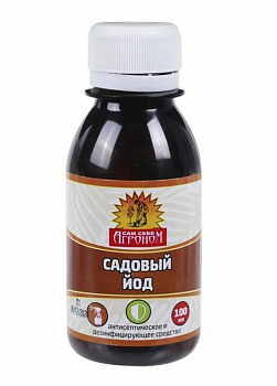Картинка (4)