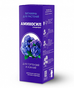 Картинка (4)