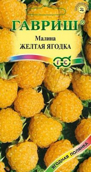 1psa0g6dg1t05pvkijxvtqo1vuodfkv2