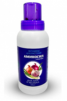 Картинка (4)