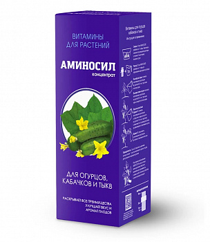 Картинка (4)