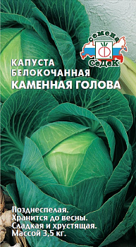 kapusta_kamennaya_golova