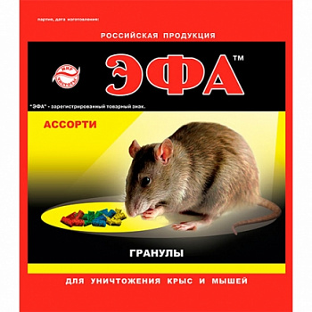 ассорти_0
