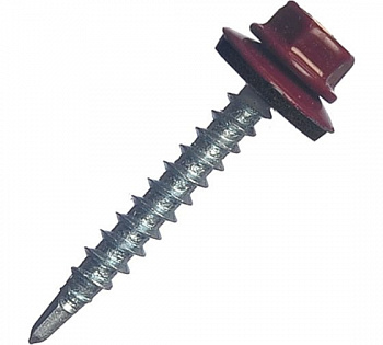 55052686