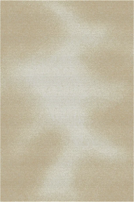 223313