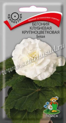 4601887326816