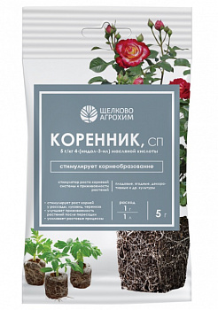 korennik_sp_paket_5_g_5_g
