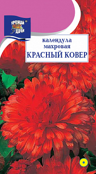 b7cbcdec7c7b7902784be8616405e547