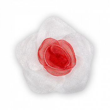 g52666710752
