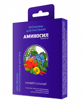 Картинка (4)