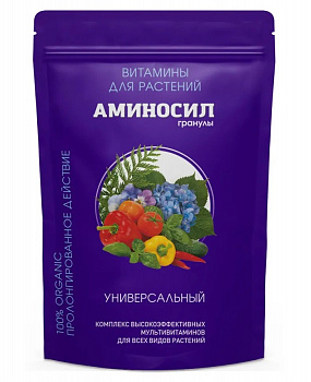 Картинка (4)